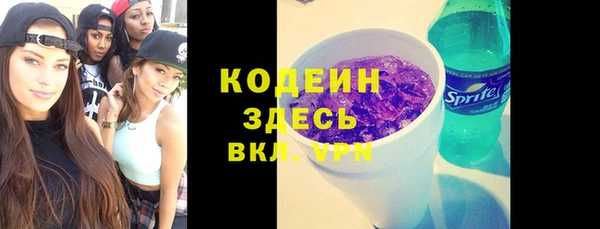 прущий лед Алзамай